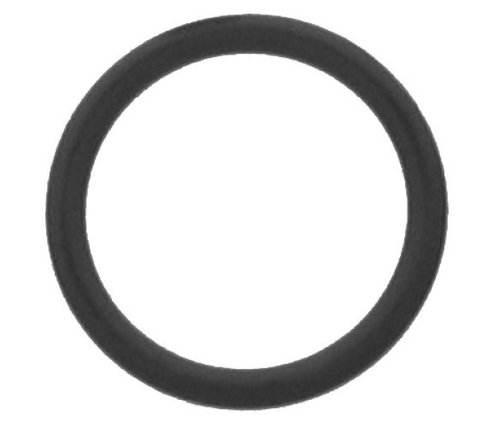 Elco O-Ring D 25,07 x 2,62 fr Umwlzpumpe, 12034899